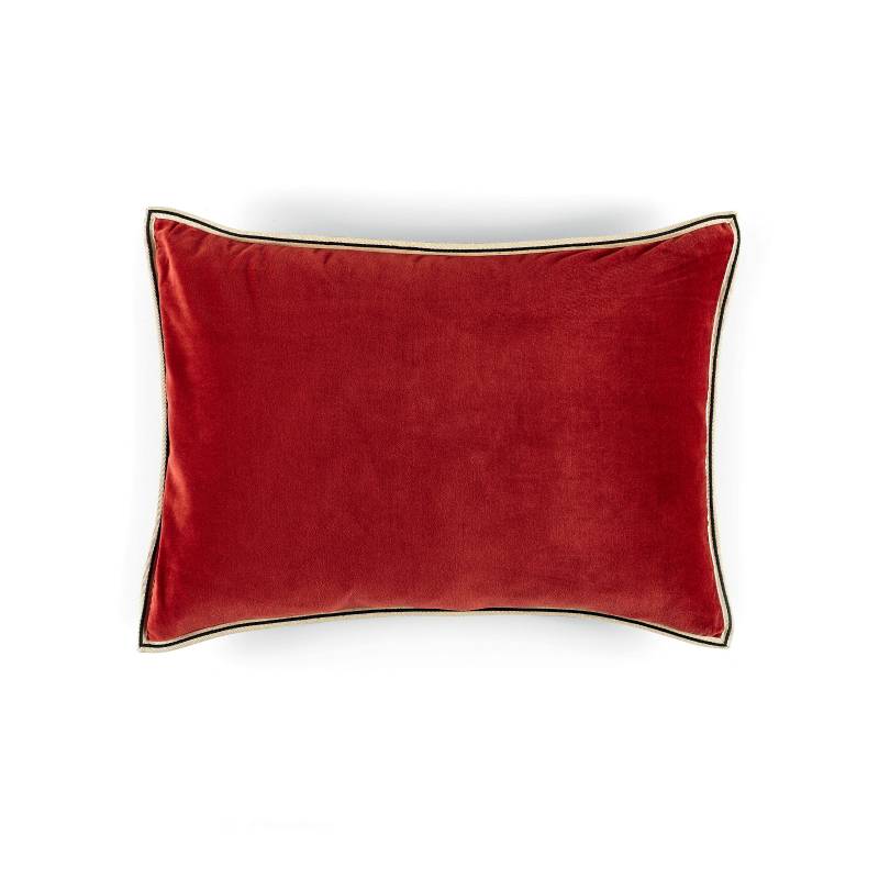 CO 178 37 02 - ARISTOTE Papaye