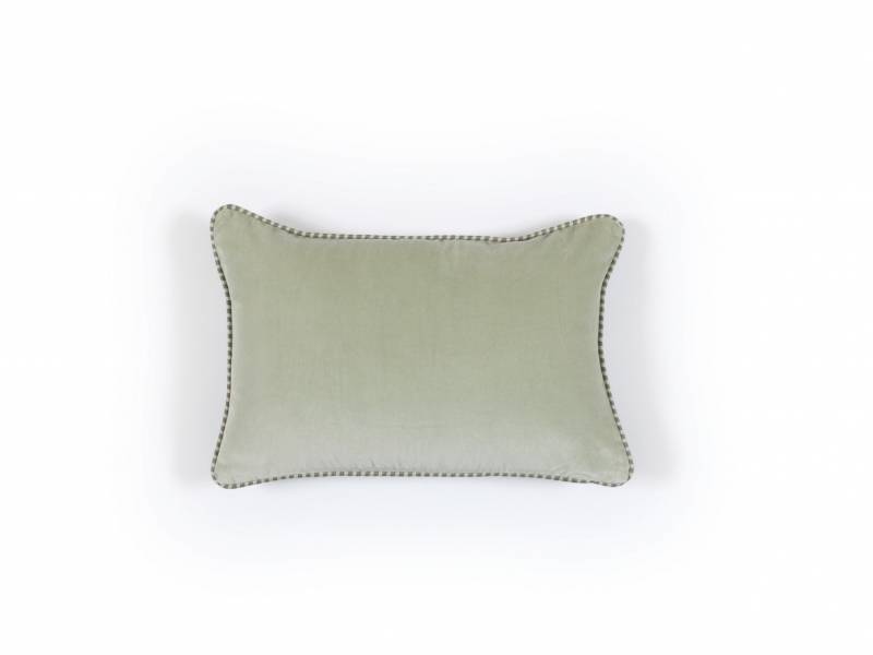 CO 260 61 04 - OLYMPE Sauge