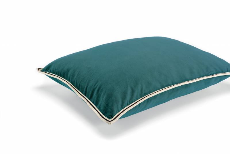 CO 178 42 02 - ARISTOTE Canard