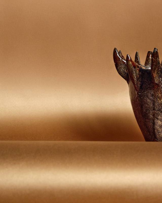 RM 1087 01 - Sa richesse intérieure