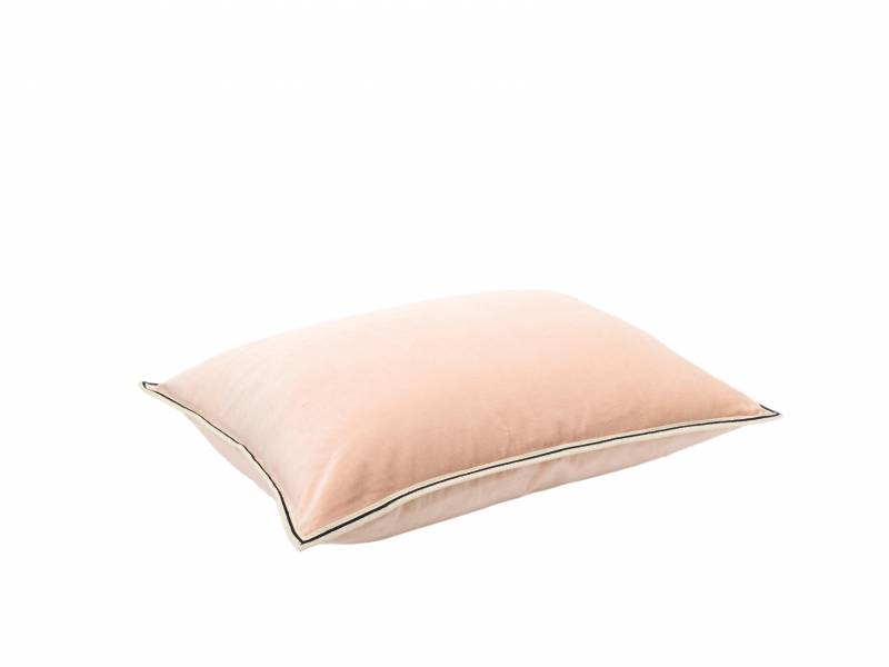 CO 178 58 02 - ARISTOTE Pétale