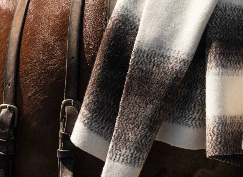 WO 131 05 - Laine / Bois