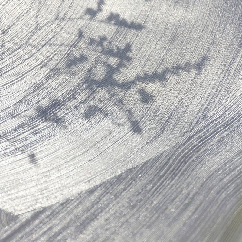 VP 1029 91 - Ruée vers l'or