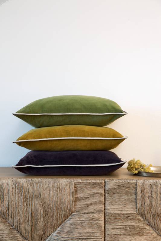 CO 178 64 02 - ARISTOTE Lichen