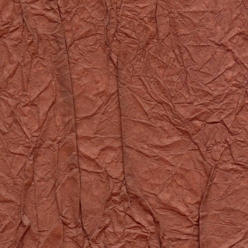 RM 221 35 - Voyage des sens