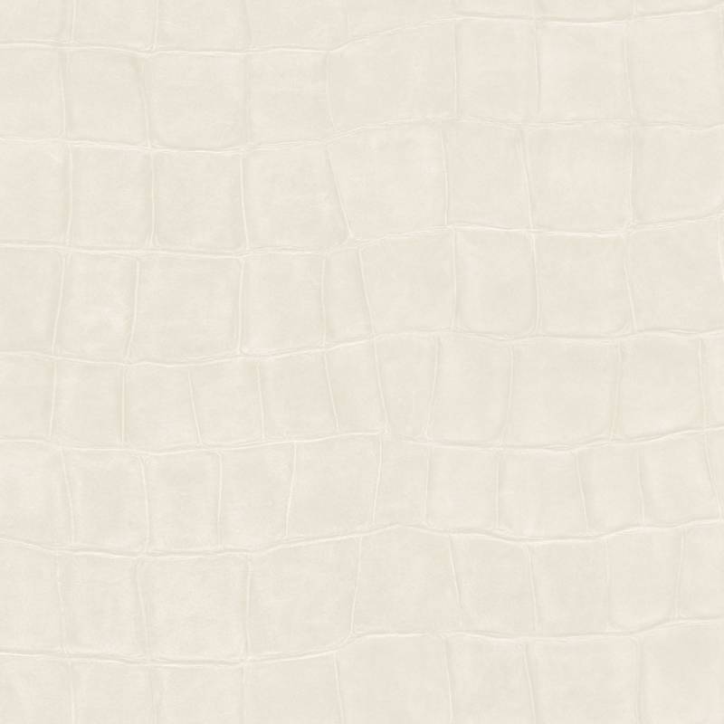 VP 423 02 - Reine des glaces