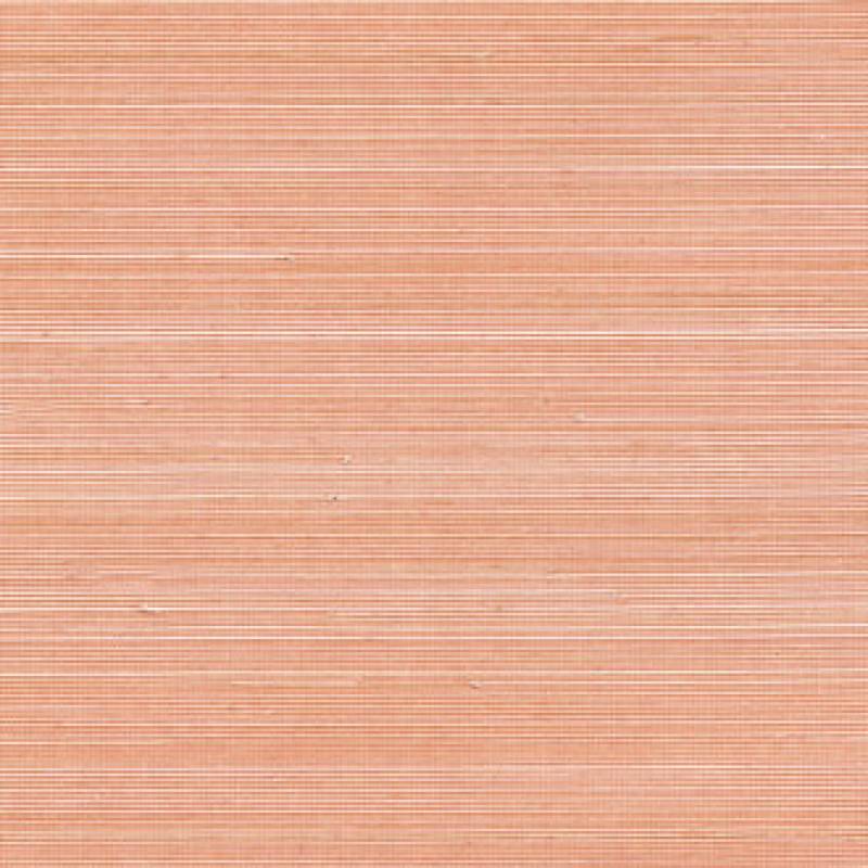 RM 110 39 - Au rythme de belles rencontres