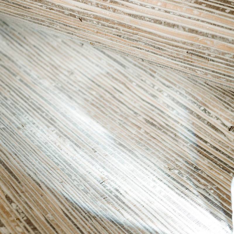 RM 1117 01 - Roseau des rivages 