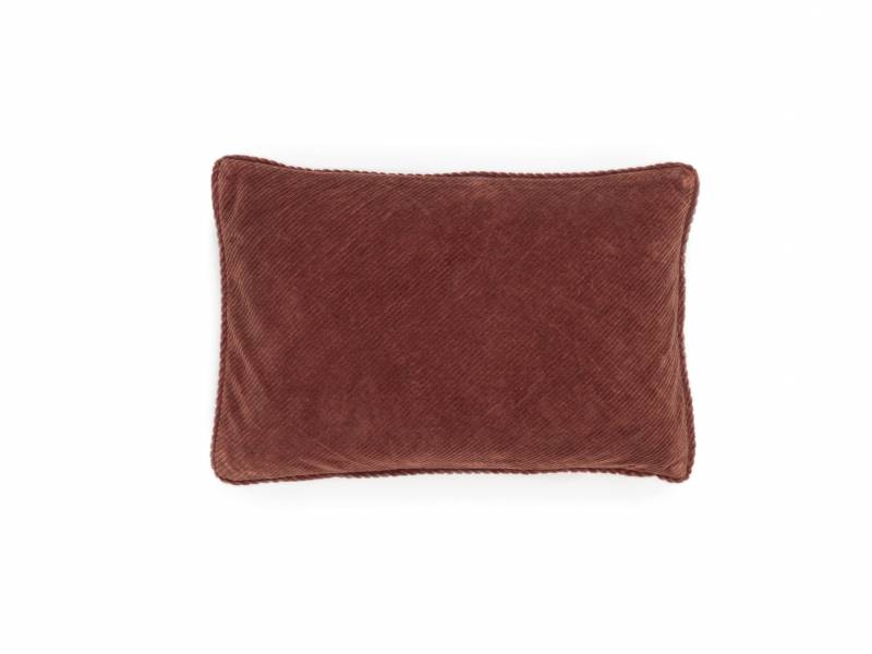 CO 244 72 04 - ITHAQUE Baby Renard