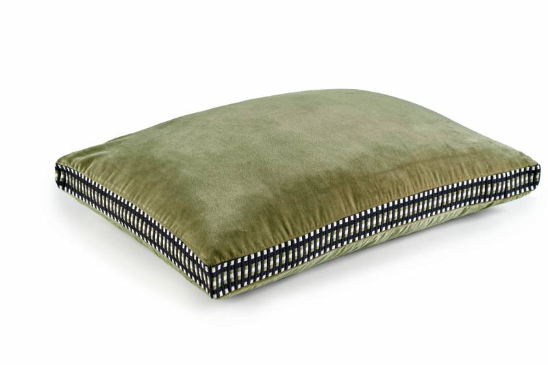 CO 226 64 03 - ATHENA Lichen 