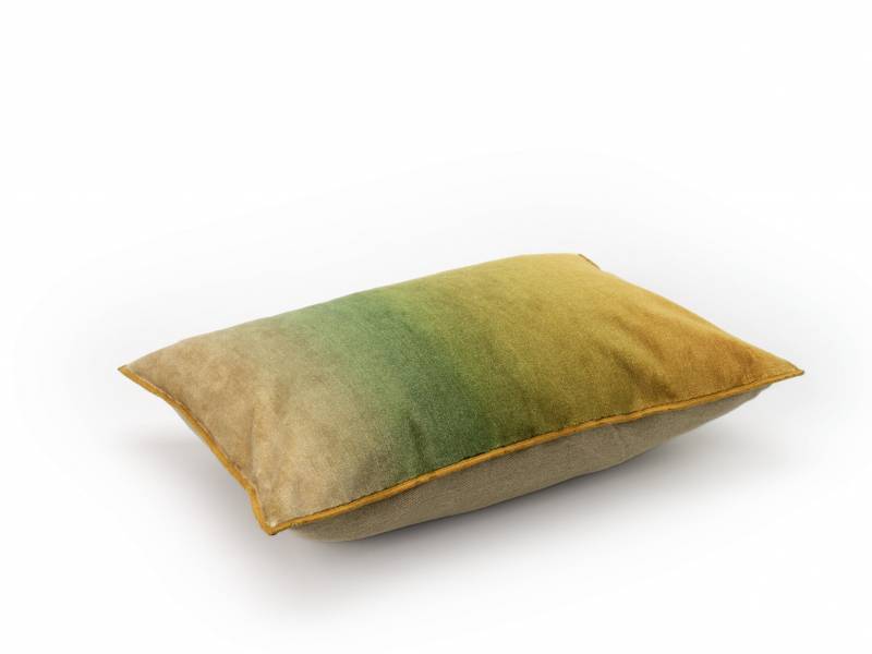 CO 254 68 02 - FORTUNE Chartreuse