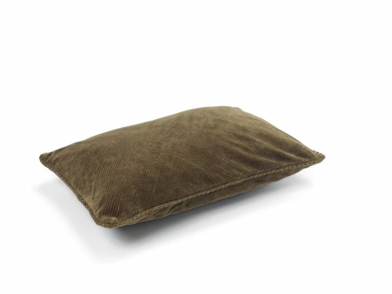 CO 244 67 04 - ITHAQUE Baby Army