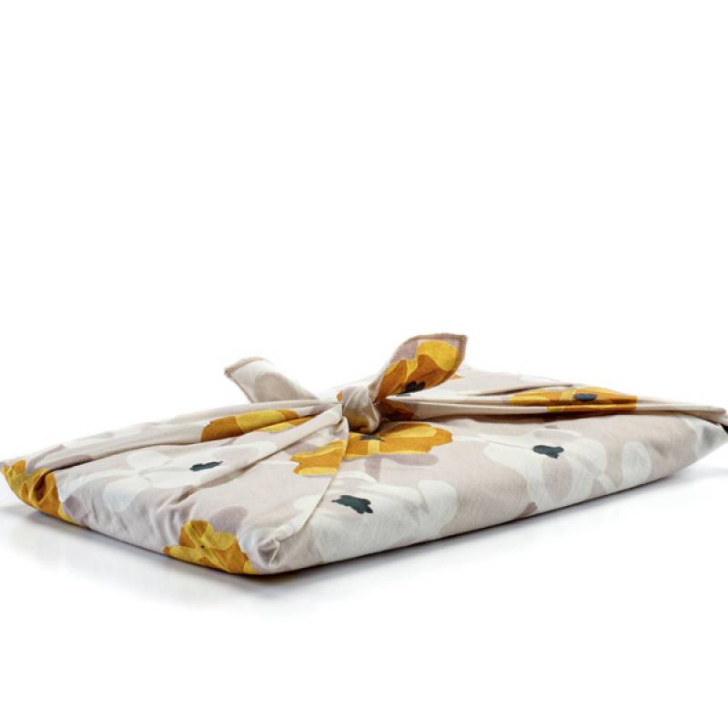 OR 101 25 02 - DAISY Sunny