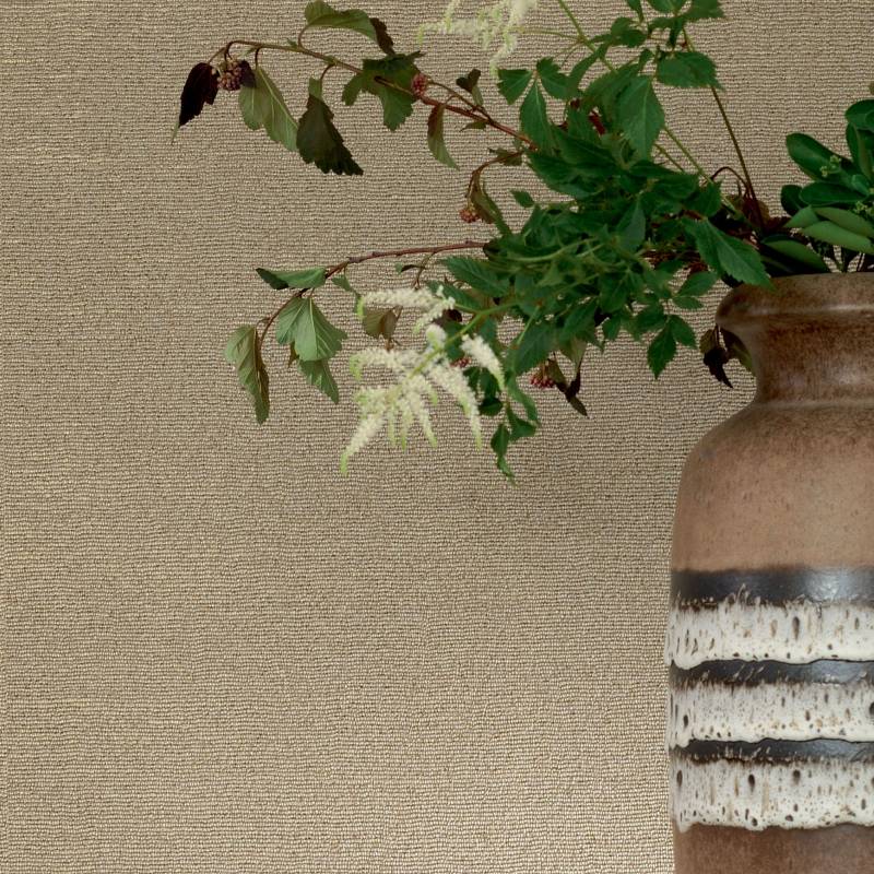 VP 910 01 - Un trésor du paradis