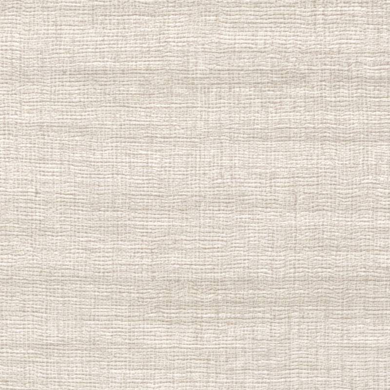 VP 1008 02 - Une trame diaphane