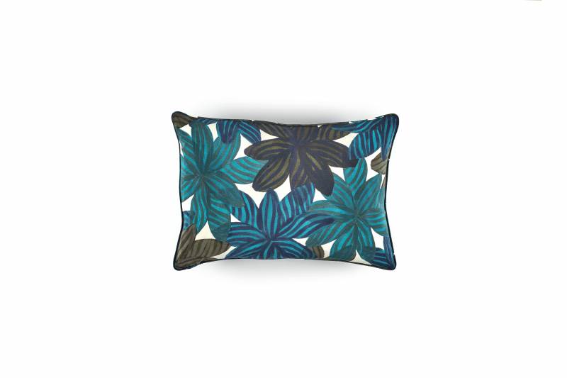 CO 211 65 04 - BEE FLOWER Strange light