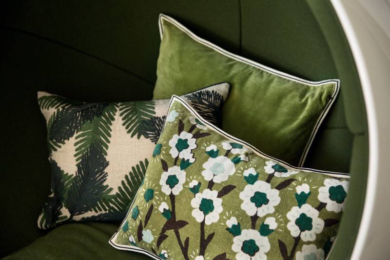 CO 178 64 02 - ARISTOTE Lichen