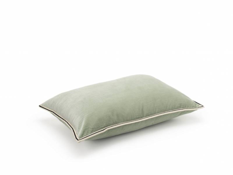 CO 178 61 02 - ARISTOTE Sauge