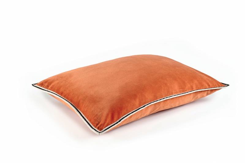 CO 178 36 02 - ARISTOTE Pumpkin