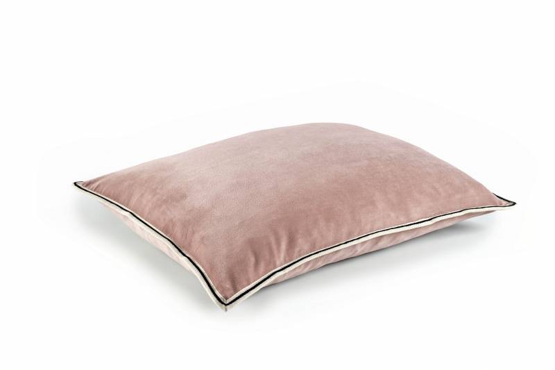 CO 178 57 02 - ARISTOTE Darling