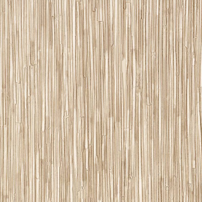 CV 117 02 - Un air de lagune