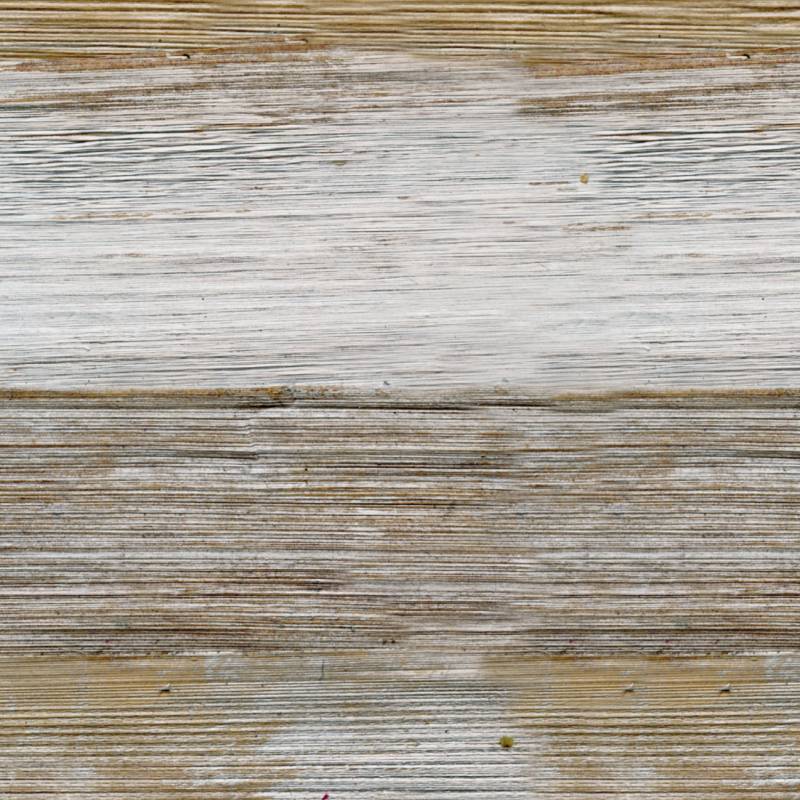 RM 906 90 - La passion de la nature