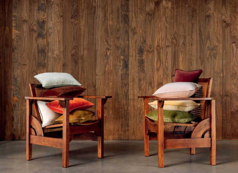 CO 260 72 04 - OLYMPE Renard