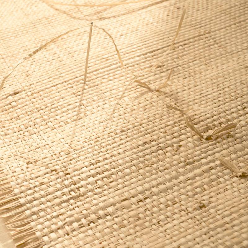 RM 1108 02 - Sous les tropiques 