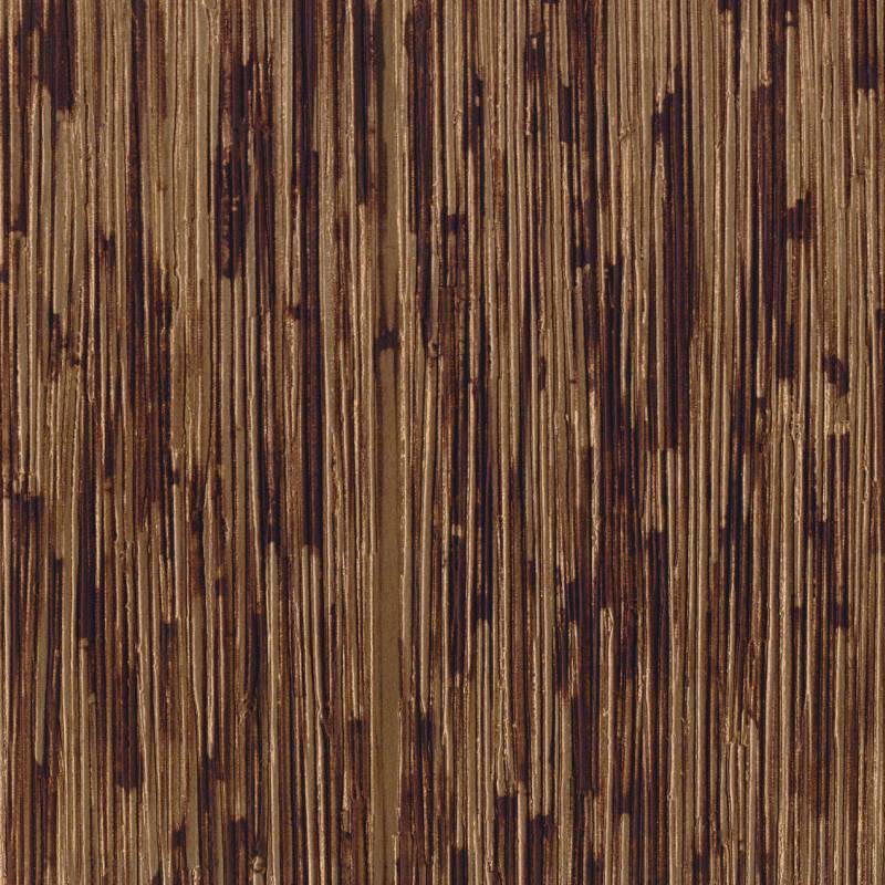 CV 118 04 - Trajectoire de succès