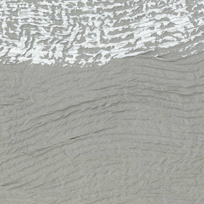 RM 982 85 - Un charisme en or