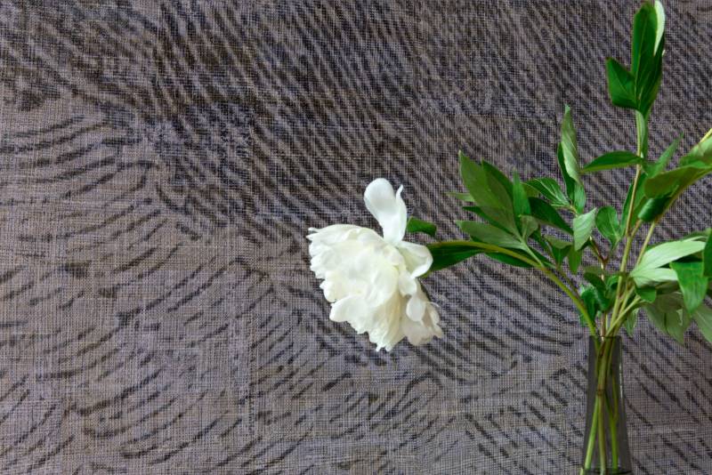 DM 601 05 - Vent d'ouest