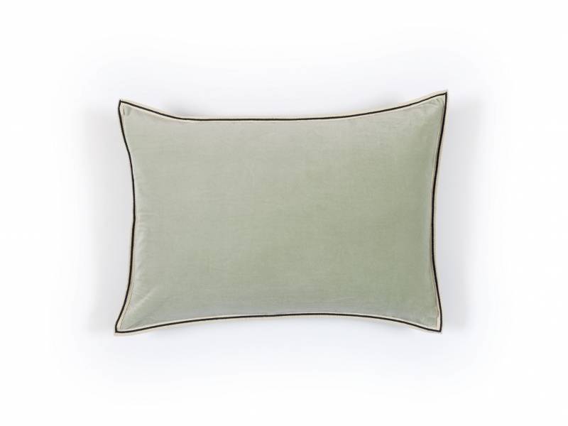 CO 178 61 02 - ARISTOTE Sauge