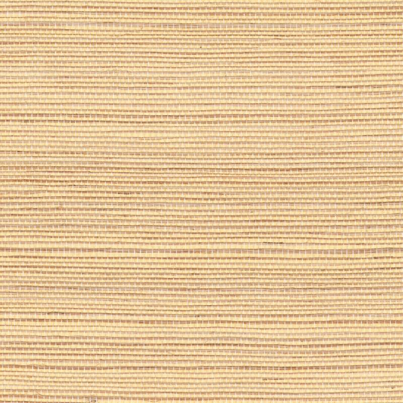 RM 1073 92 - Attirer la lumière