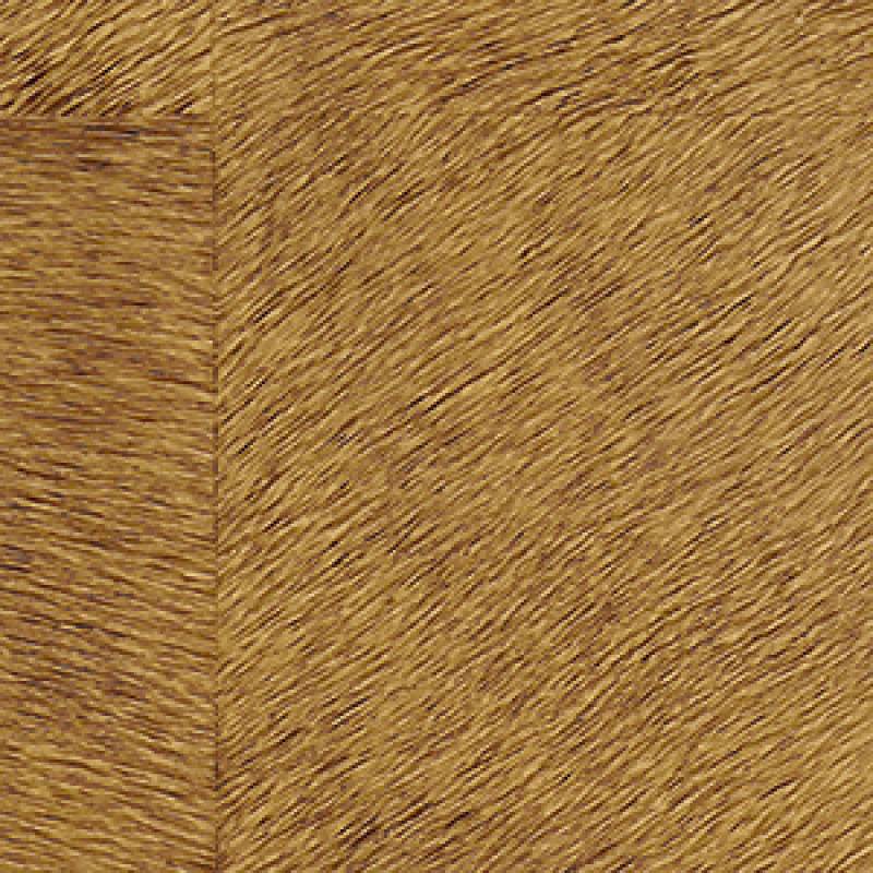 CV 101 30 - L'essence du lieu