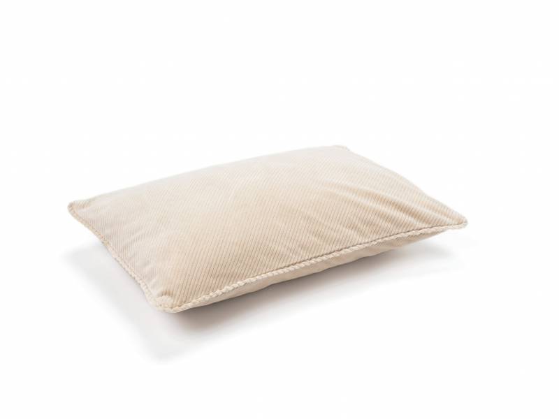 CO 244 05 04 - ITHAQUE Baby Craie