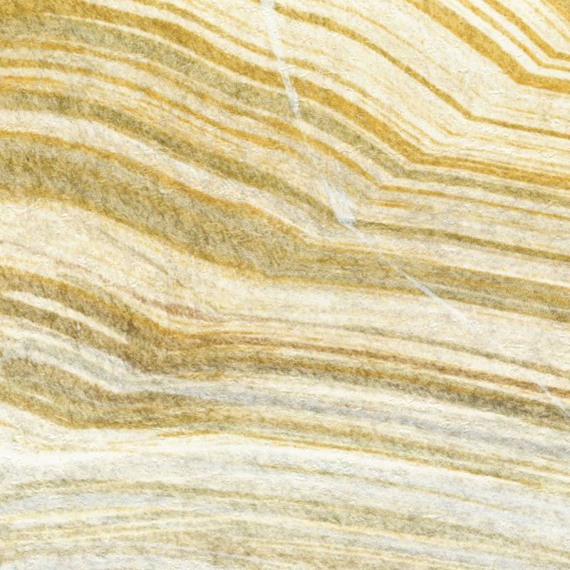 VP 1033 01 - Terres emmêlées