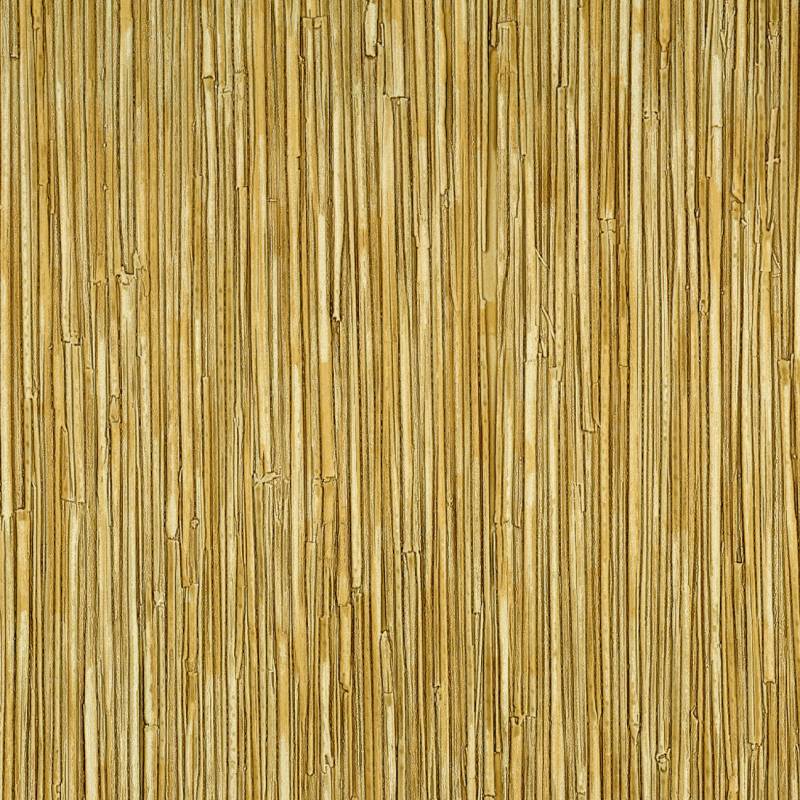 CV 117 06 - Un rayonnement éblouissant