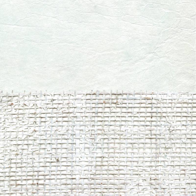 RM 667 02 - La reine des neiges