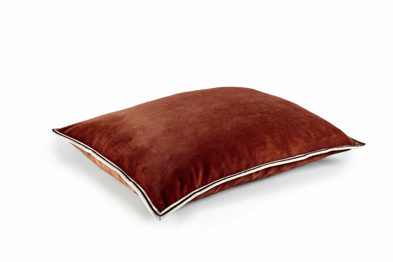 CO 178 72 02 - ARISTOTE Renard