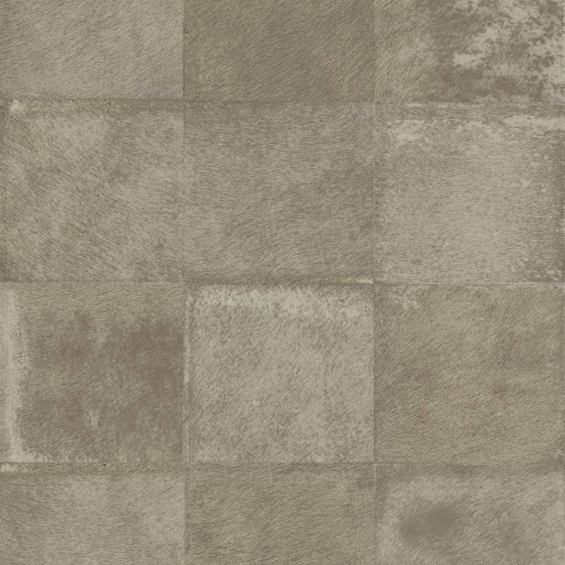 VP 656 07 - Reflets d'argent