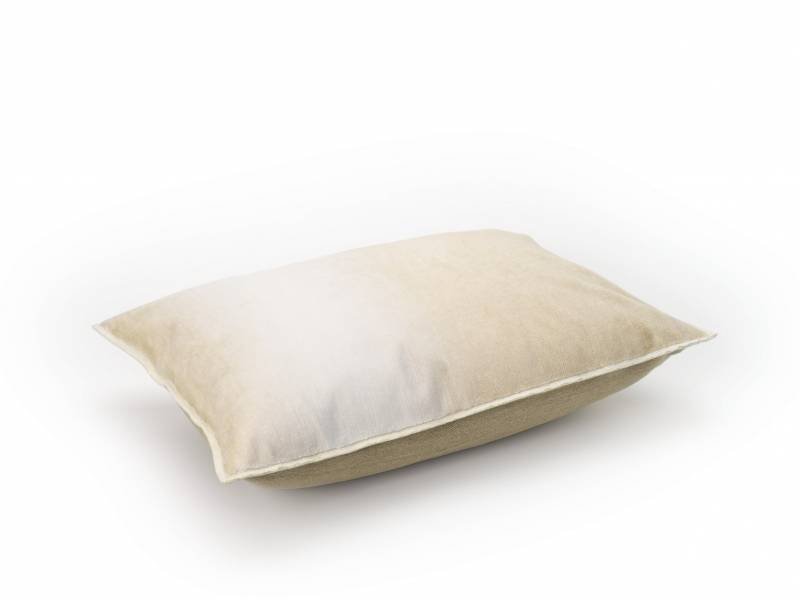 CO 254 17 02 - FORTUNE Brume