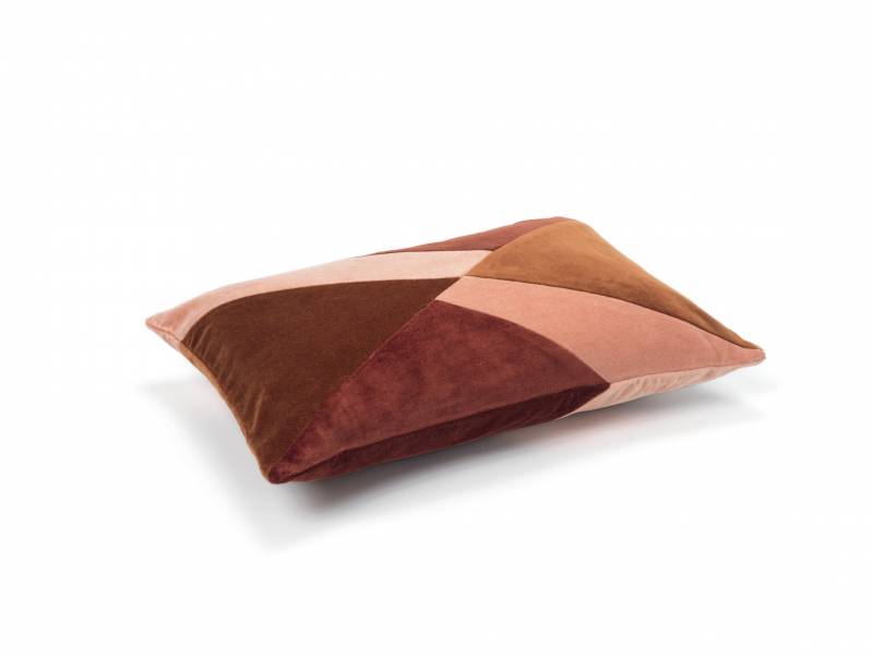 CO 240 72 04 - CLIO Renard