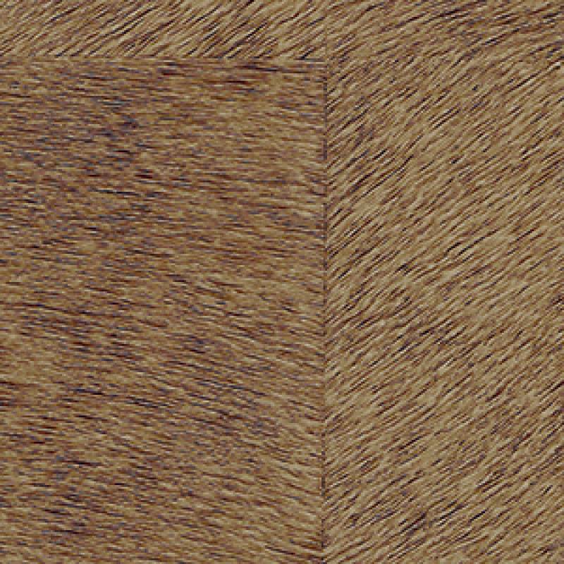 CV 101 10 - Le sens de l'aventure