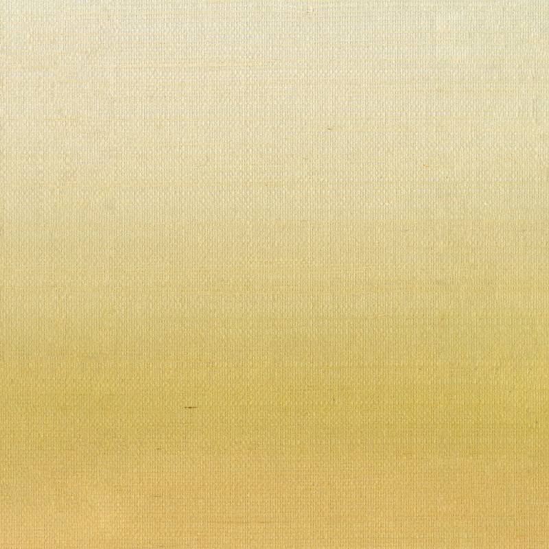 RM 1082 14 - Darder ses premiers rayons 