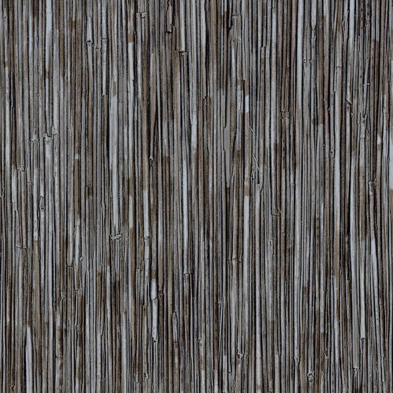 CV 117 18 - Depuis la nuit des temps