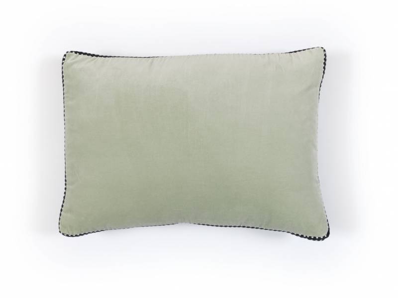 CO 226 61 03 - ATHENA Sauge