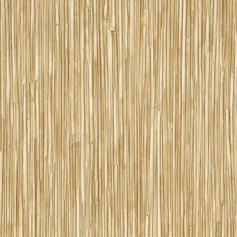 CV 117 04 - Une grâce éphémère