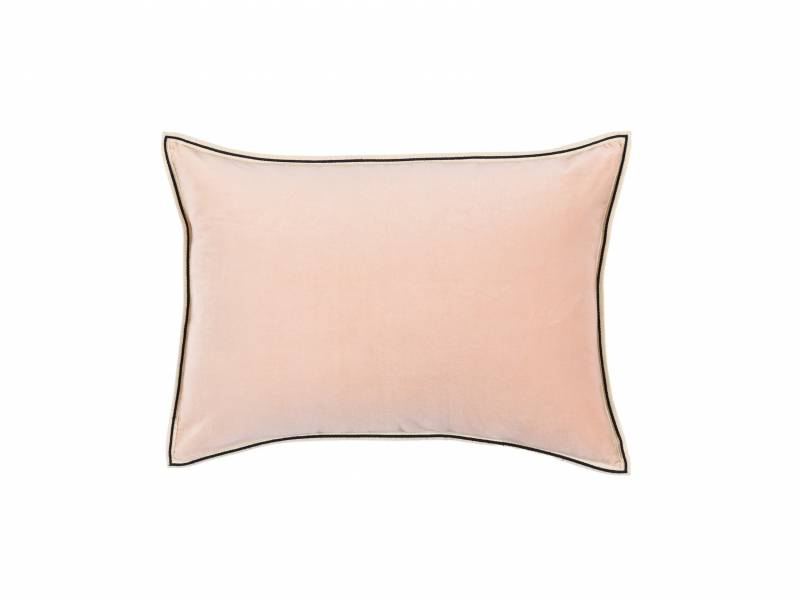 CO 178 58 02 - ARISTOTE Pétale