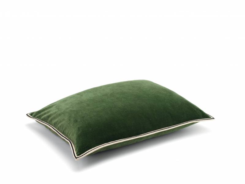 CO 178 65 02 - ARISTOTE Figuier