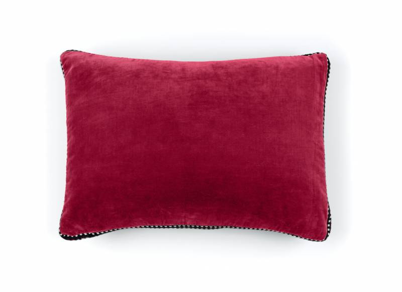 CO 226 35 03 - ATHENA Pomegranate